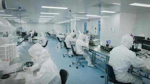 北芯生命遞交招股書 擬募資12.74億元，加速新材料技術(shù)研發(fā)與產(chǎn)業(yè)化進程